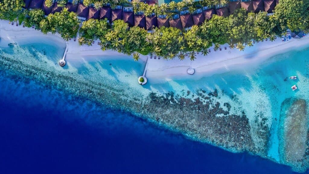 Gallery image - Image 1