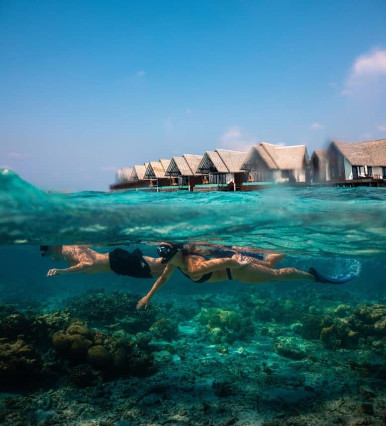 Gallery image - Image 4