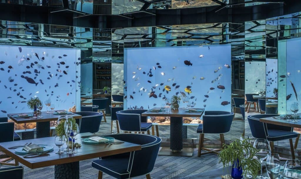 Gallery image - Image 3