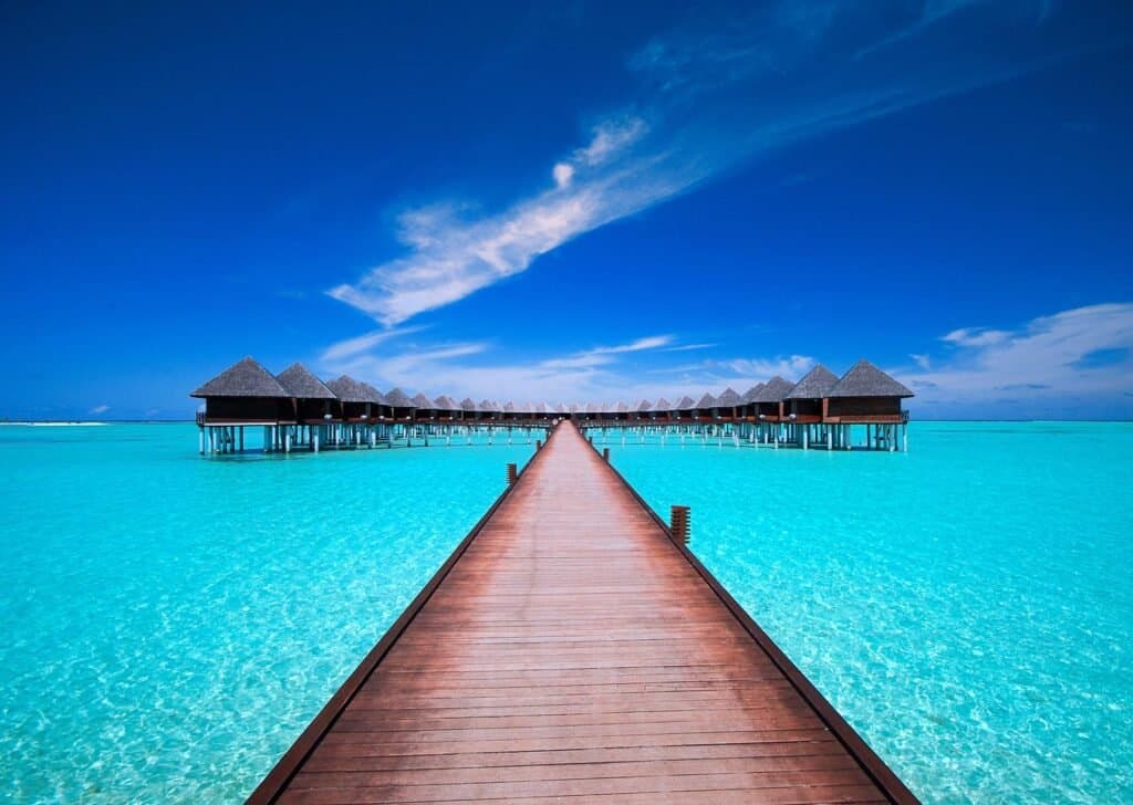 Gallery image - Image 2