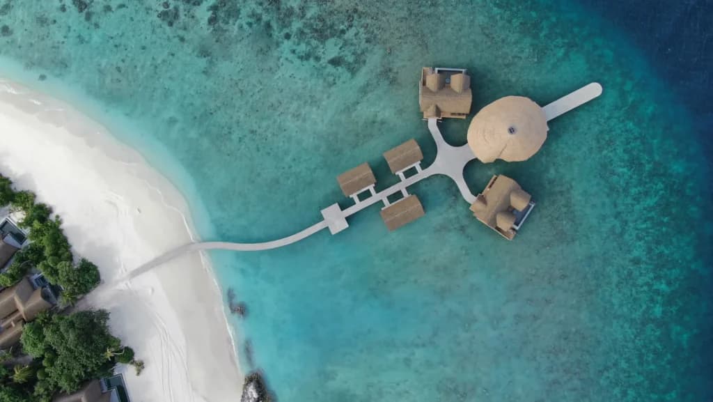 Gallery image - Image 1