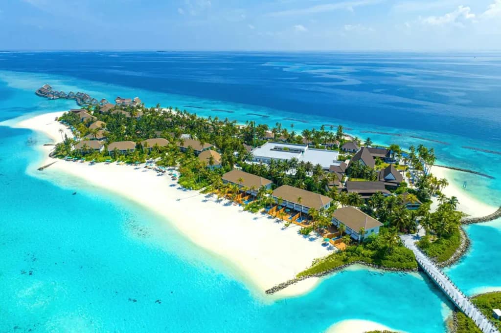 Gallery image - Image 1