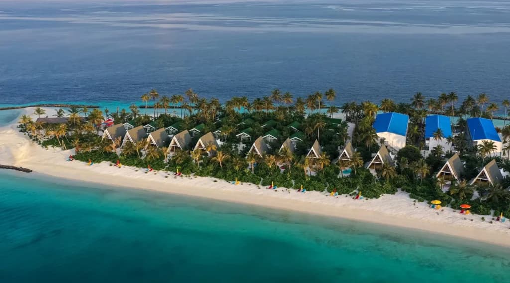 Gallery image - Image 7