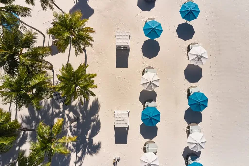 Gallery image - Image 1