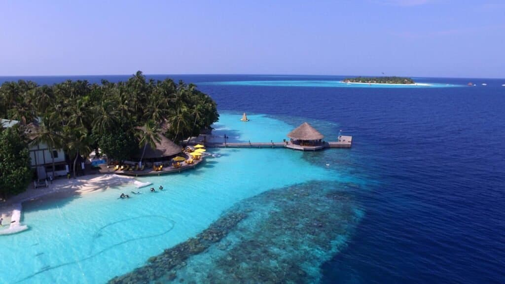 Gallery image - Image 3