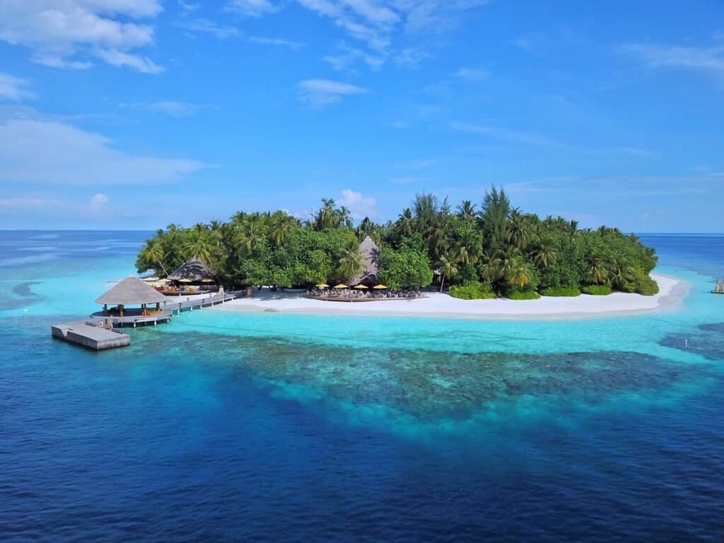 Gallery image - Image 4