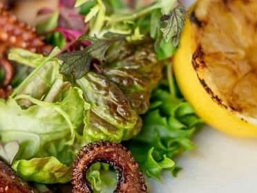 Gallery image - Image 7