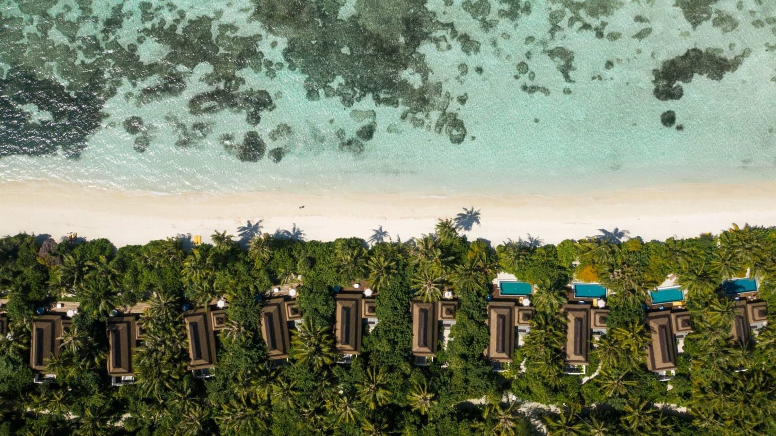 Beach Villa - Pullman Maamutaa - Image 3