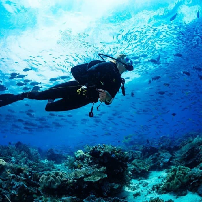 Diving & watersports