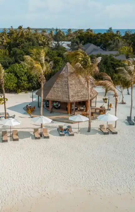 Beach Bar