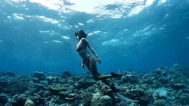 Snorkeling