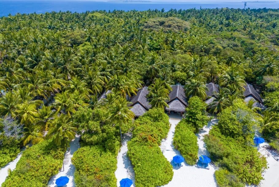 Beach Plunge Pool Villa - Image 3