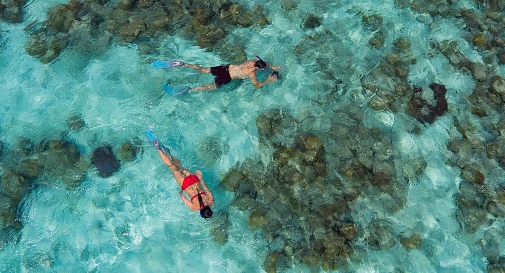Snorkelling