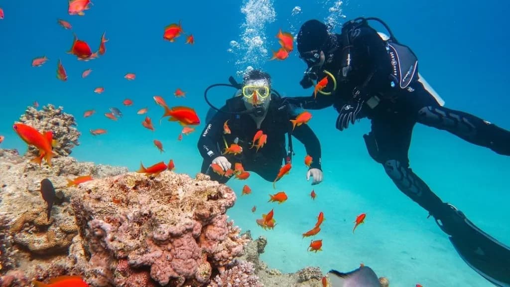 Koamas Dive & Water Sports Center