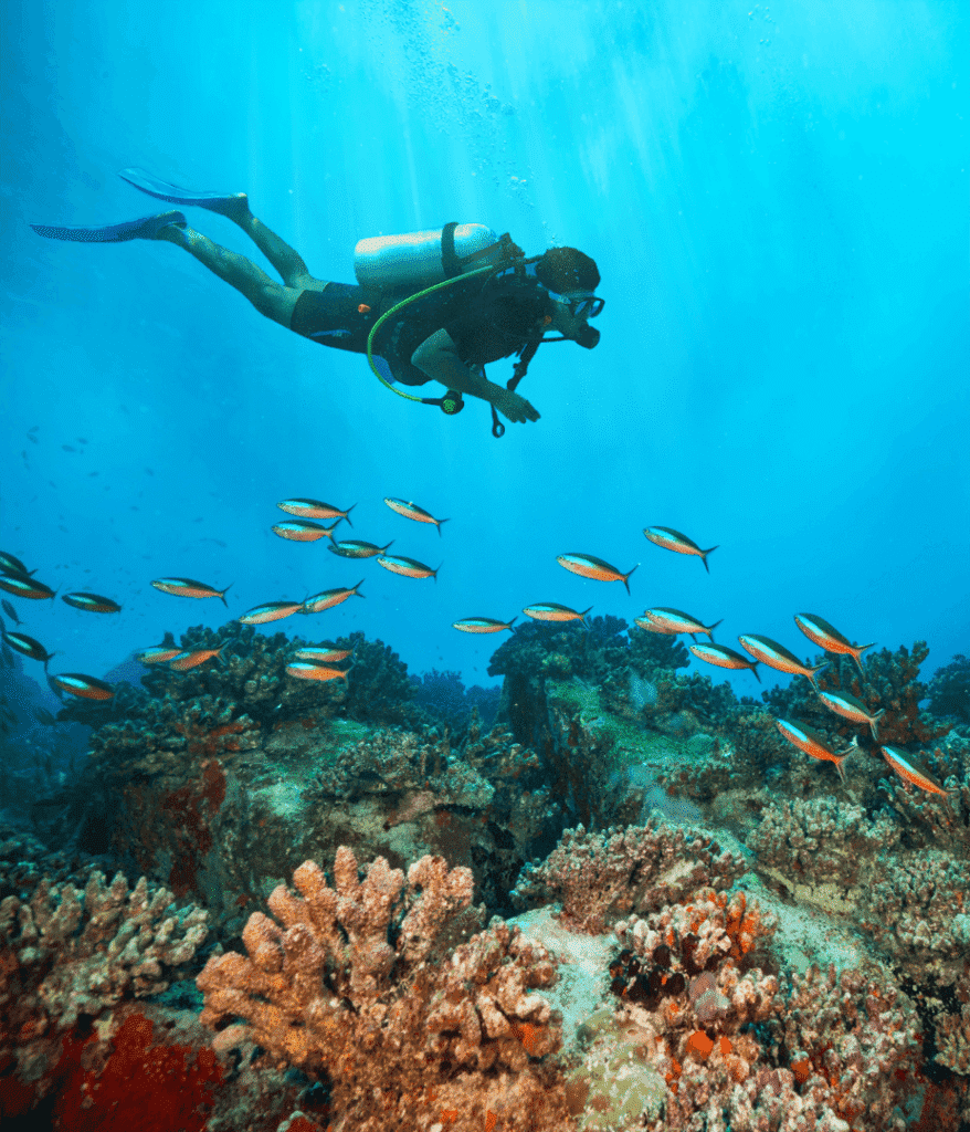 Scuba Diving