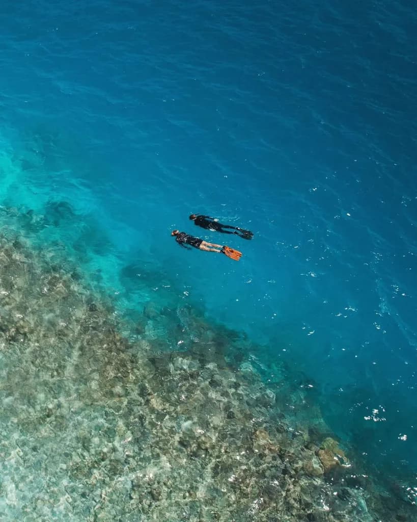 Snorkelling