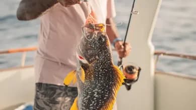 Sunset Fishing - State-of-the-art localbusiness facility at Oaga Art Resort with luxurious tropical surroundings and premium amenities