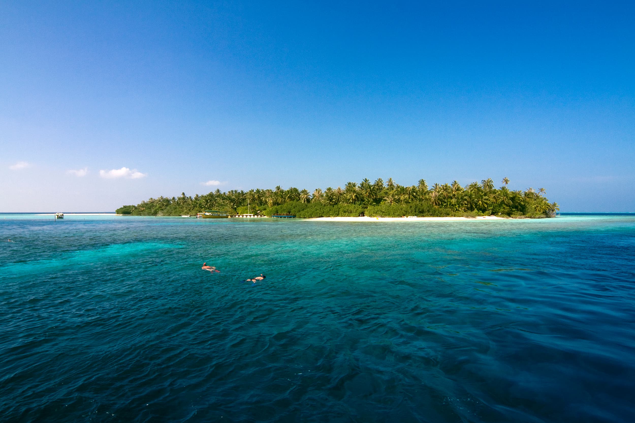 Gallery image - Image 1