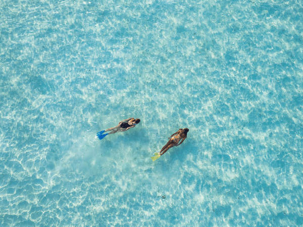 Snorkelling Platform - Image 2