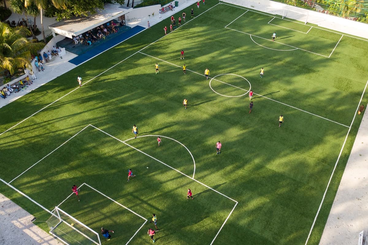 Sports Arena - Image 3