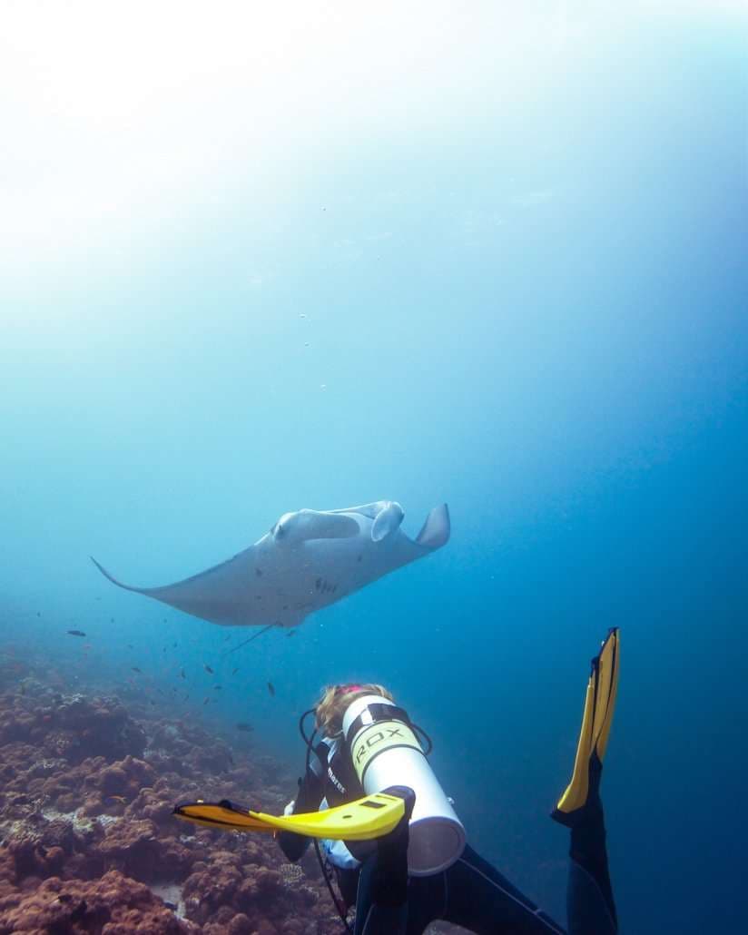 Scuba Diving - Image 4