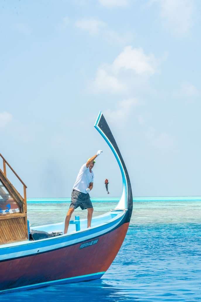 Fishing - Image 2