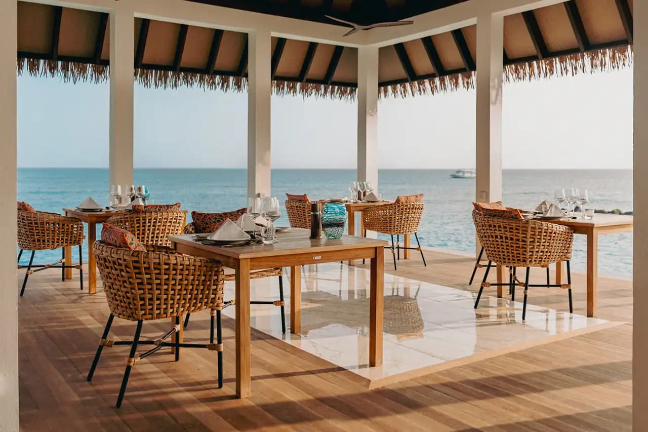 Thaana – Mediterranean Restaurant - Image 2