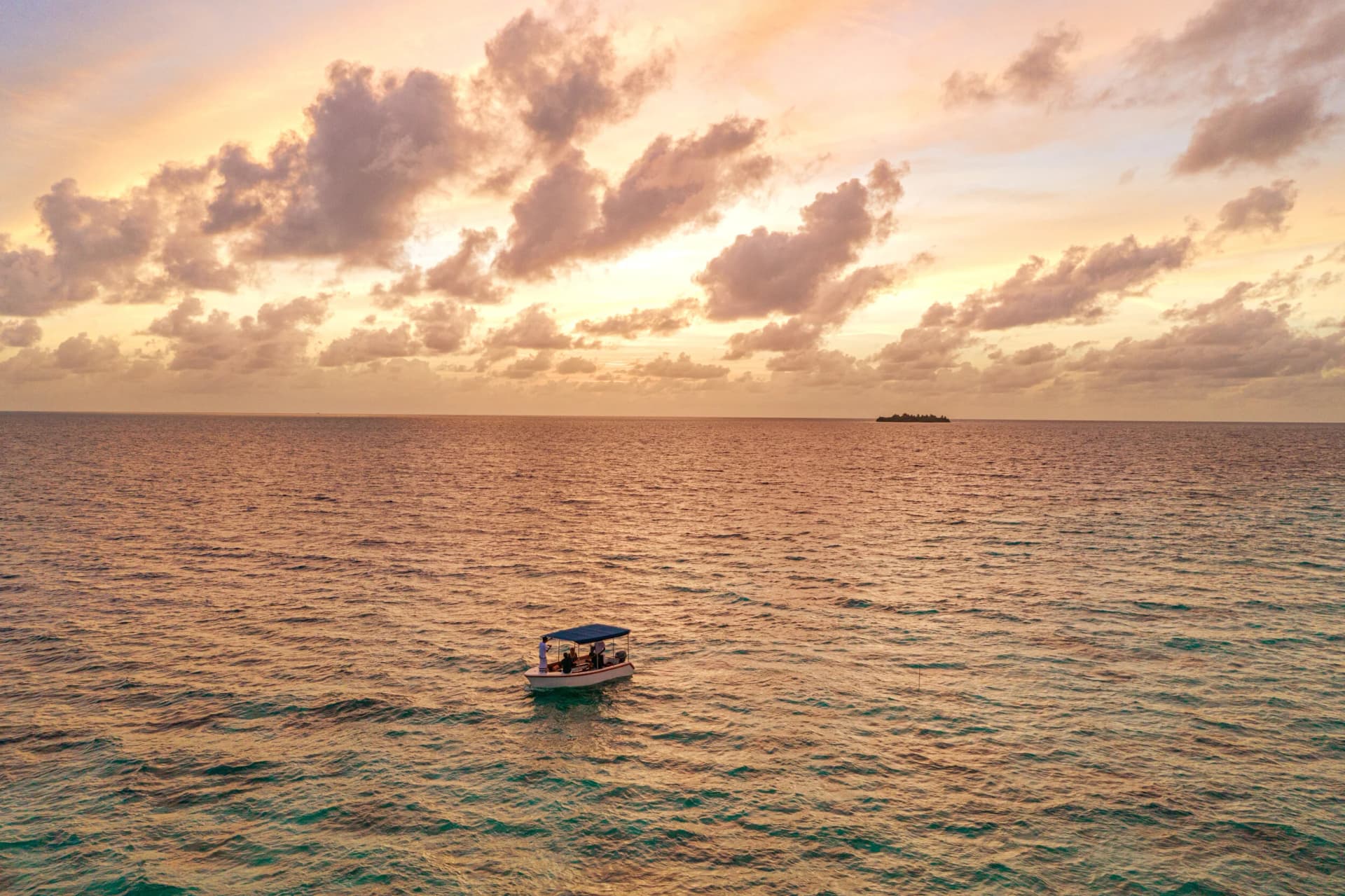 Glass-Bottomed Boat Tour