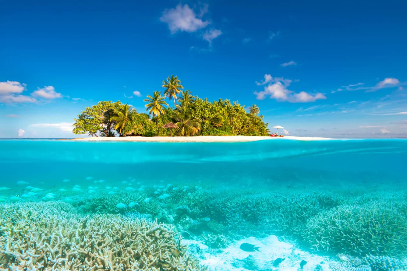 GAATHAFUSHI - Image 2