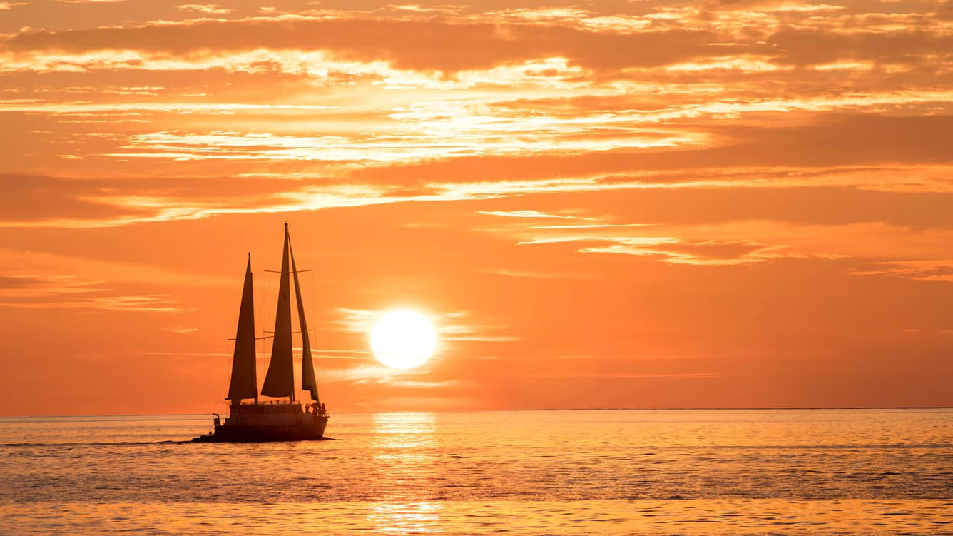 Escape Beach - Image 6