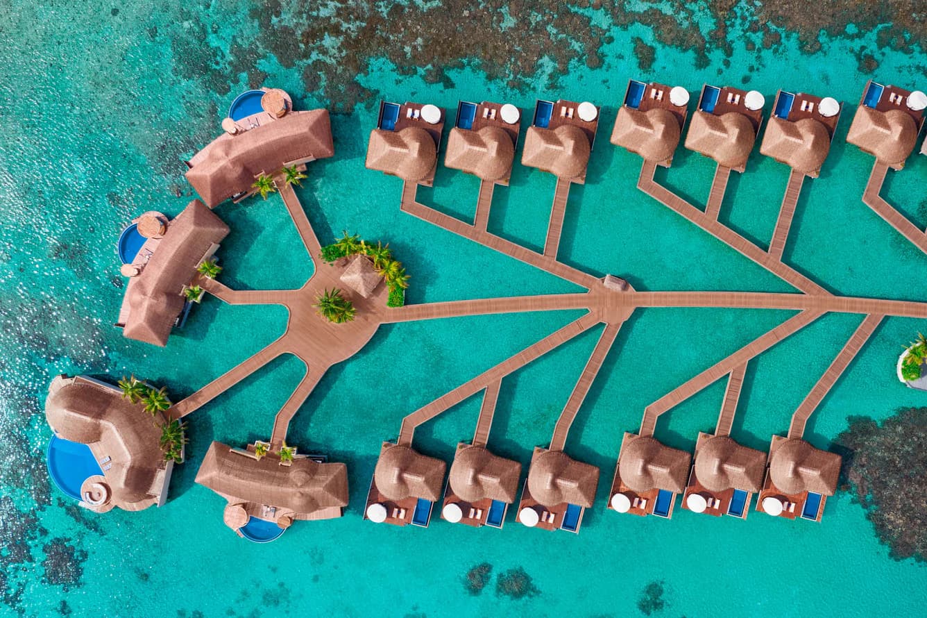 Oasis Overwater - Image 5