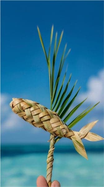 Aquatic Adventures - Image 2