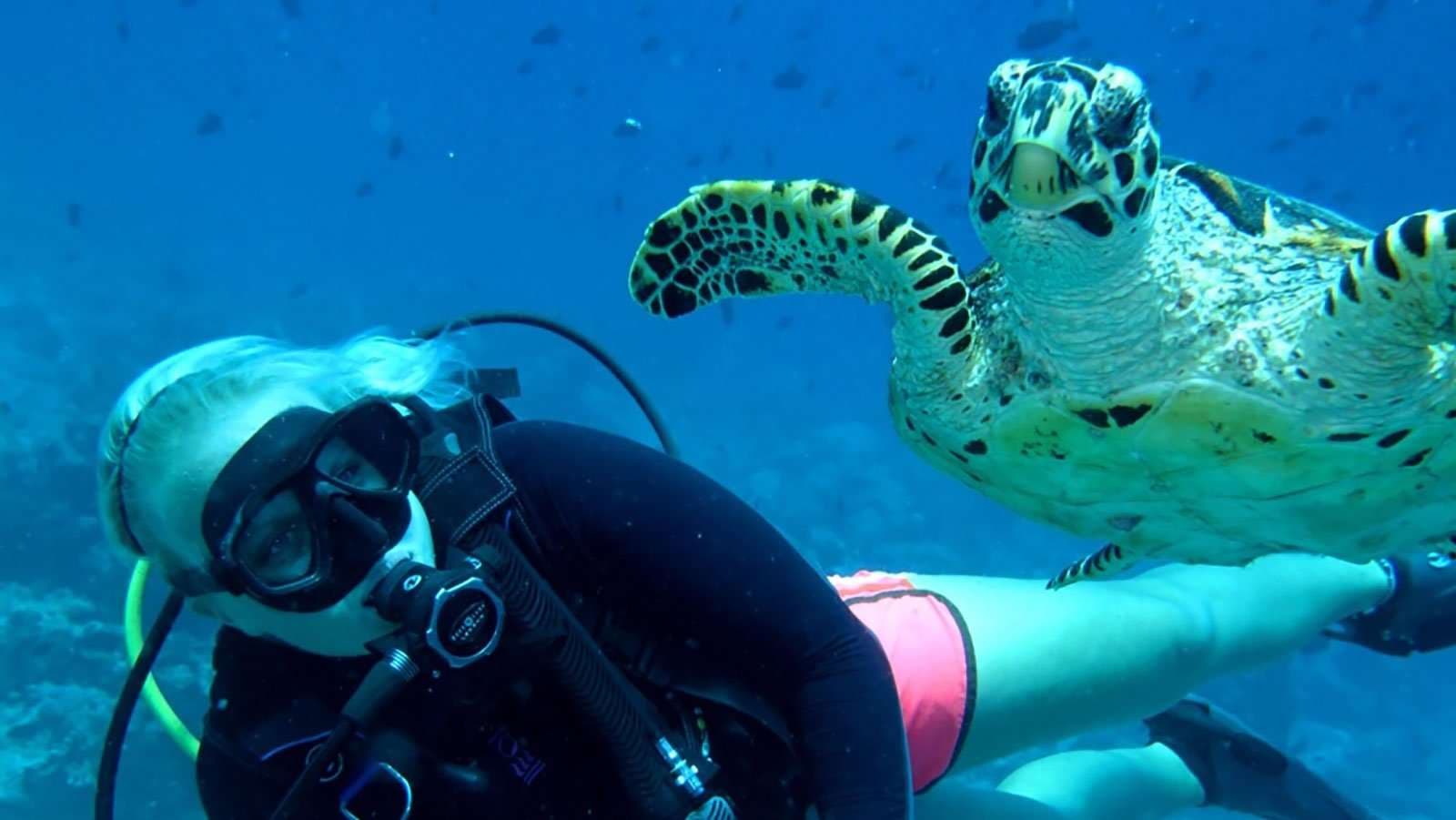 Pro Divers Dive School