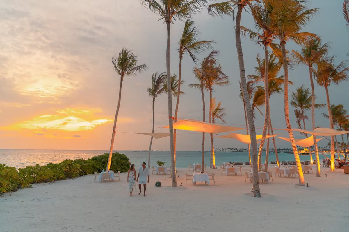 Palm Beach - Image 4