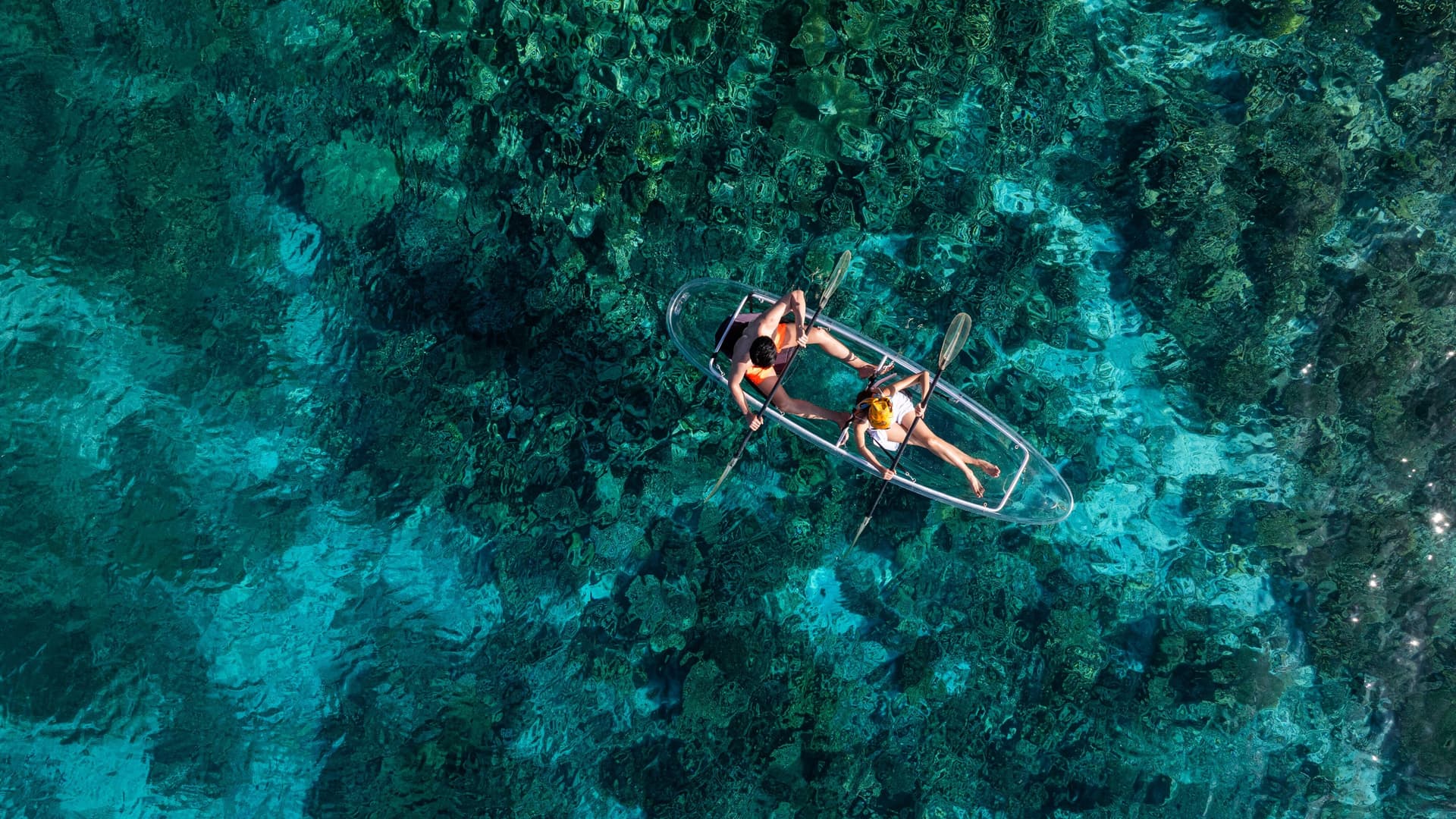 Water Sports & Dive Center - Image 2