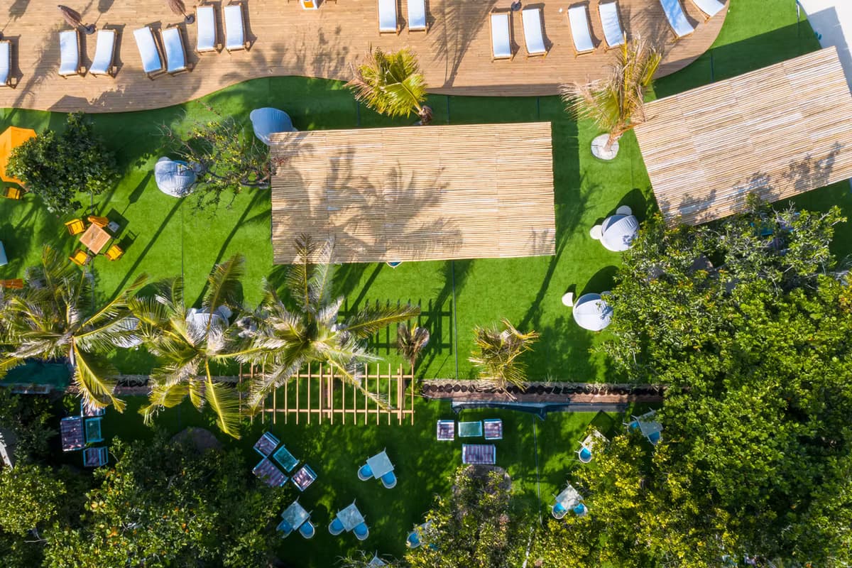 Green Carpet - Image 2