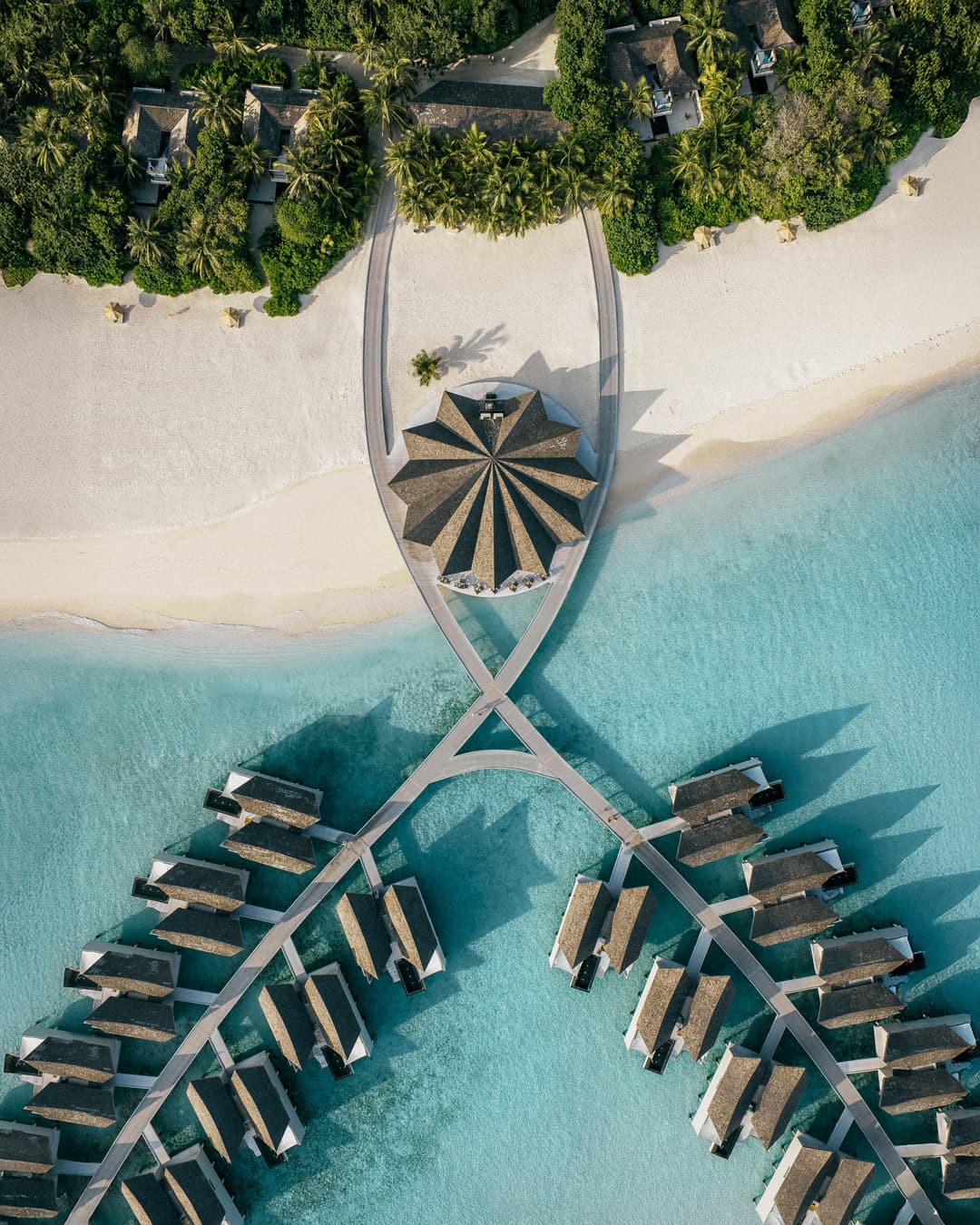 BODUMAS - Image 2