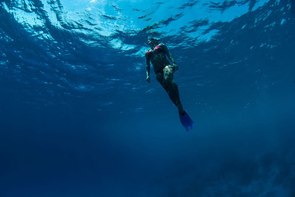 Snorkelling - Image 2