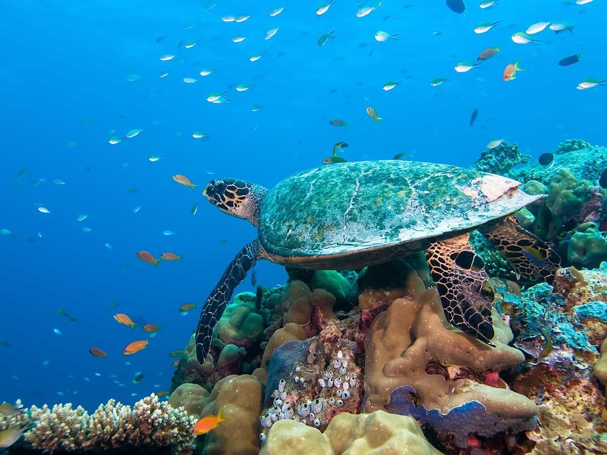 Diving Centre - Image 2