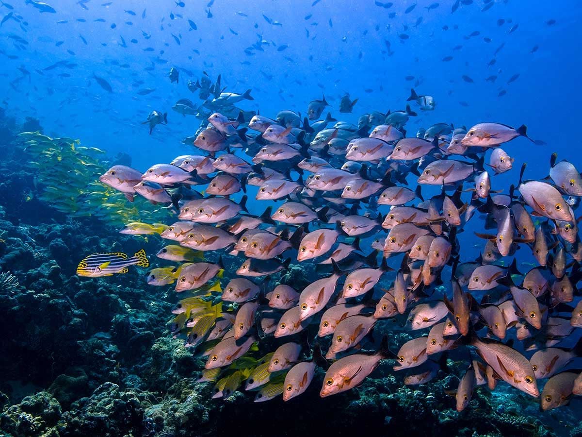 Diving Centre - Image 3