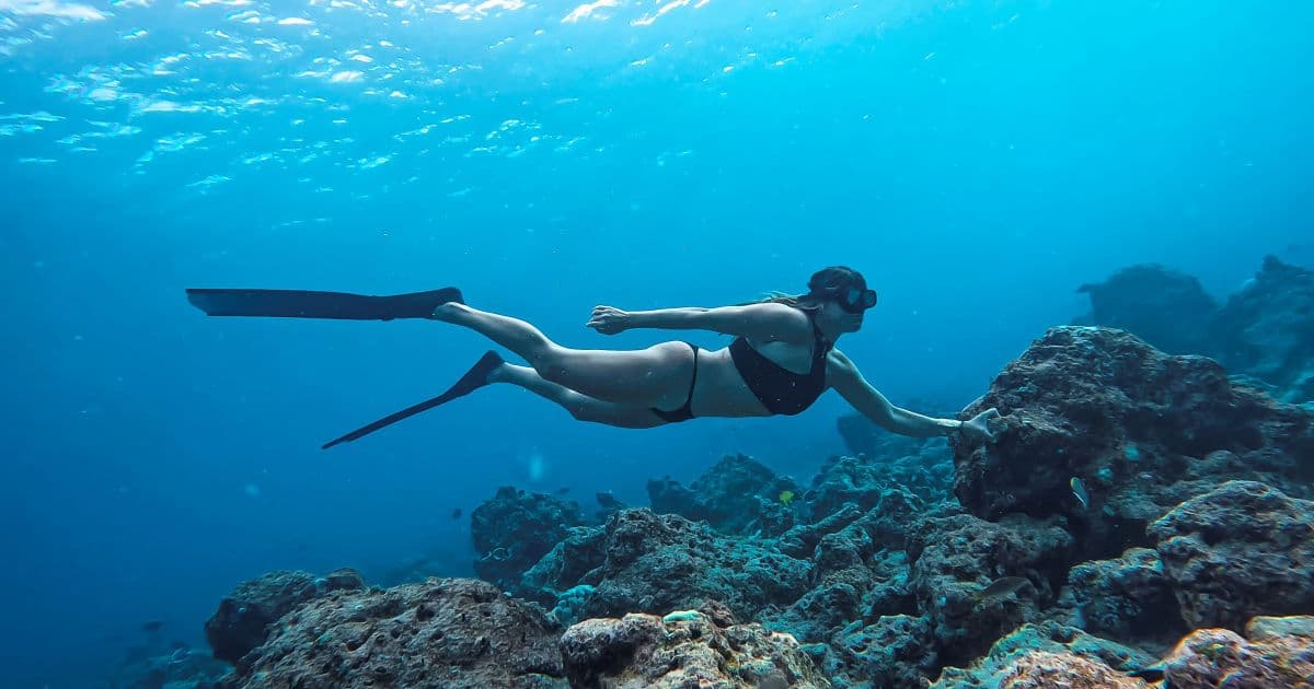 Snorkel and Relax