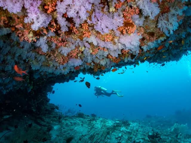 Diving - State-of-the-art localbusiness facility at Dhigali Maldives with luxurious tropical surroundings and premium amenities