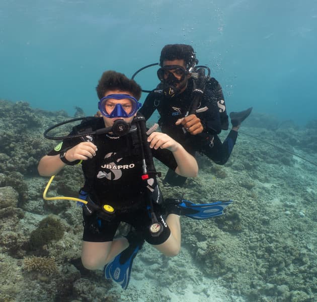 Diving
