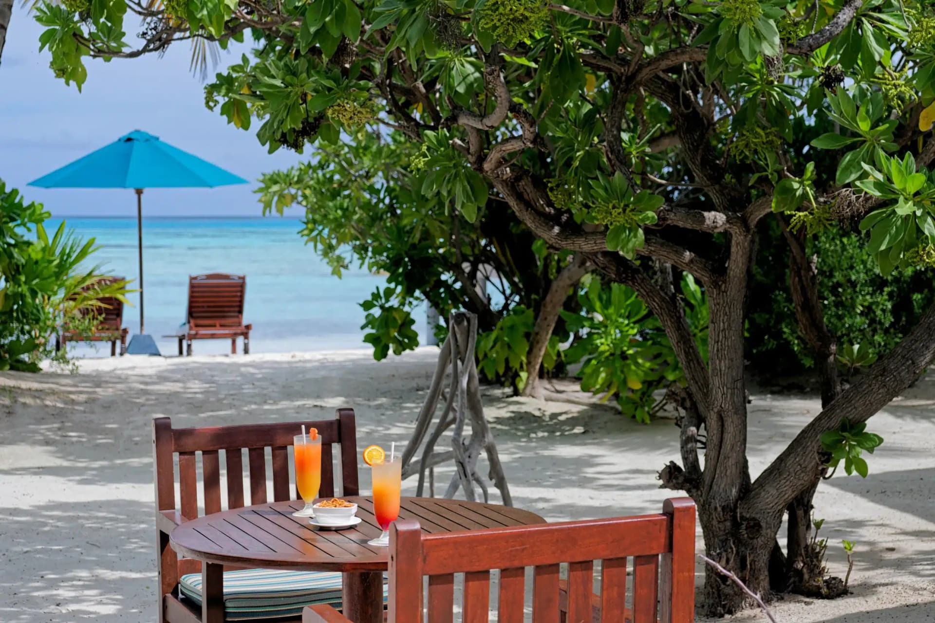 Beach Bar