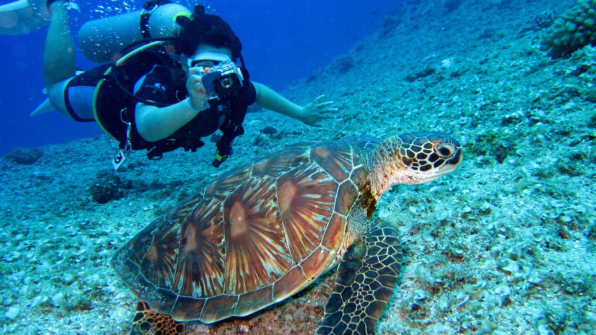Diving