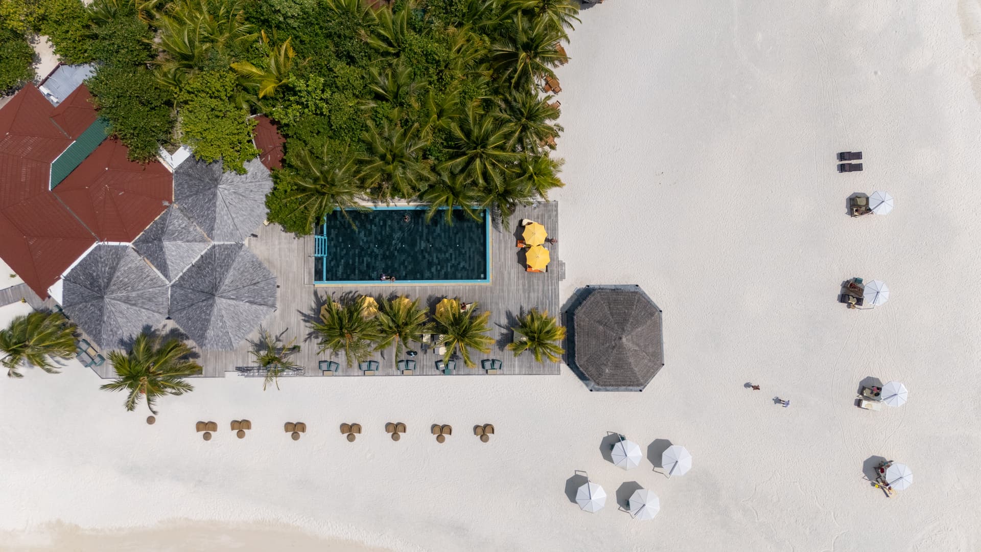 Thundi Pool Bar