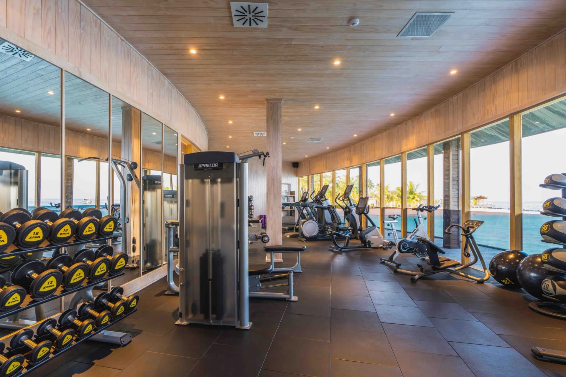 Fitness