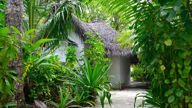 Beach Bungalows