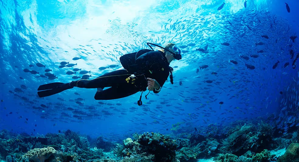 Diving