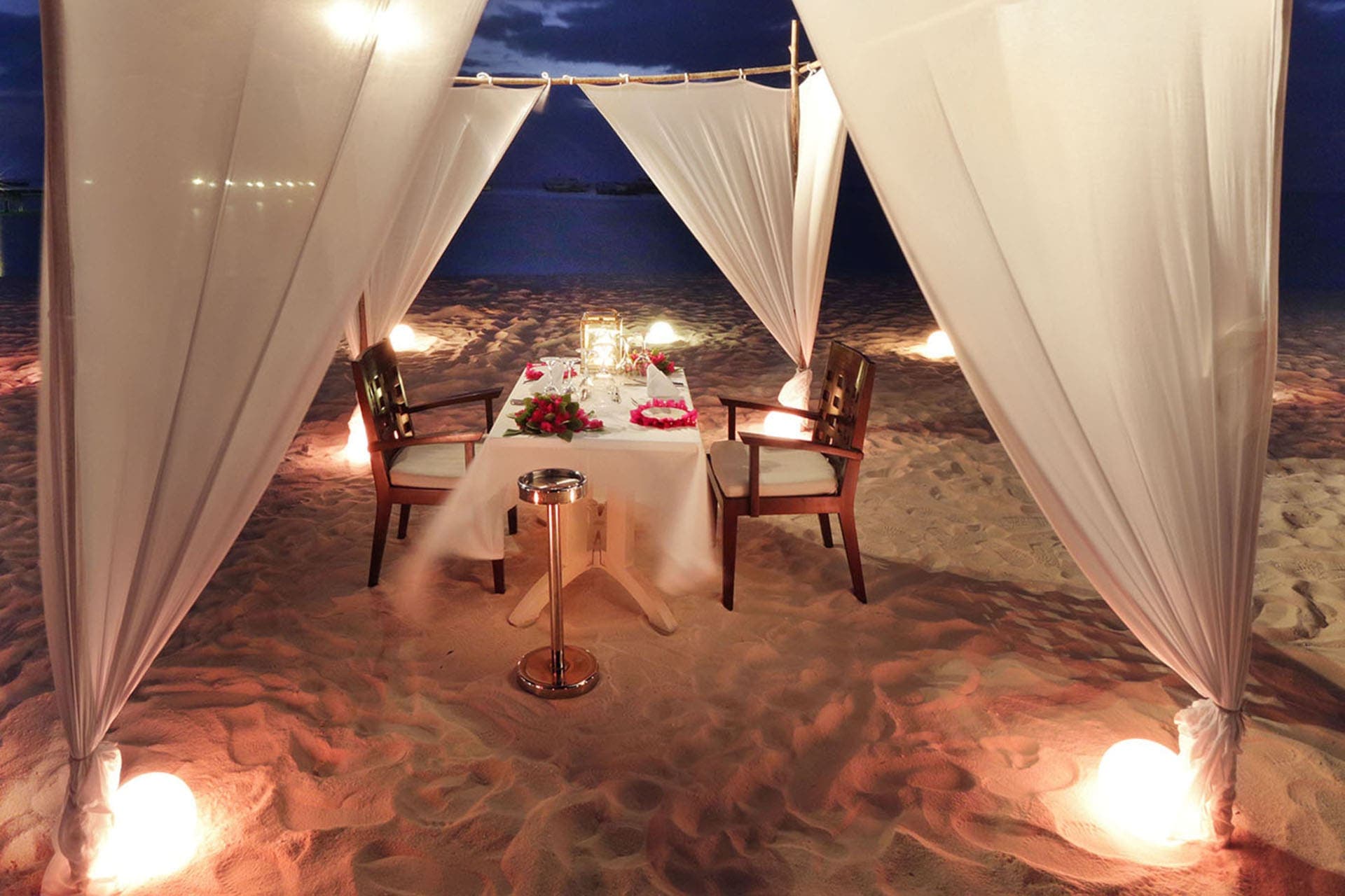 Dining under the Stars